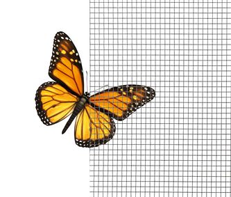 Ultrafeines 4PLUS Insektenschutzgewebe vor Schmetterling
