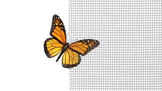 Ultrafeines 4PLUS Insektenschutzgewebe vor Schmetterling