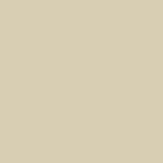 Farbe glänzend Hellbeige